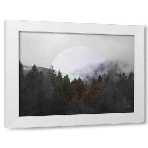 Bold Adventures II v2 No Words White Modern Wood Framed Art Print by Marshall, Laura