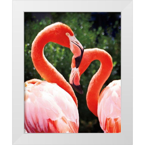 Flamingo II White Modern Wood Framed Art Print by Van Swearingen, Debra