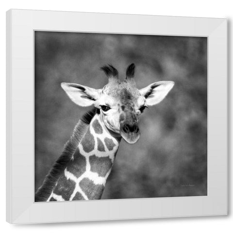 Little Guy White Modern Wood Framed Art Print by Van Swearingen, Debra