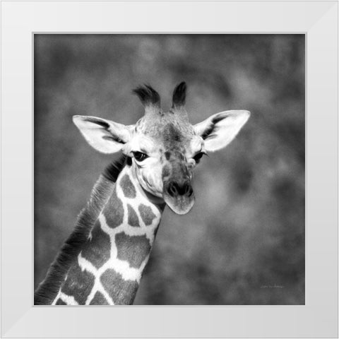 Little Guy White Modern Wood Framed Art Print by Van Swearingen, Debra