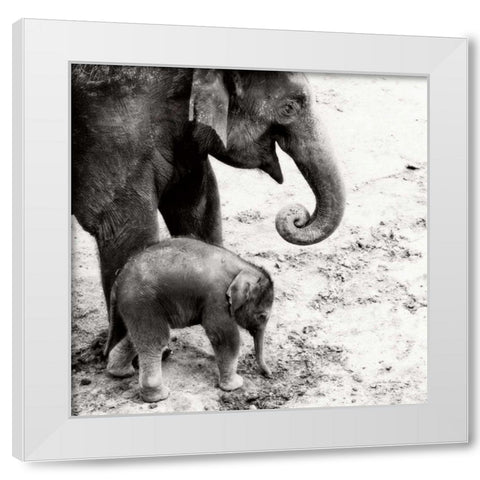 Mother and Daughter White Modern Wood Framed Art Print by Van Swearingen, Debra