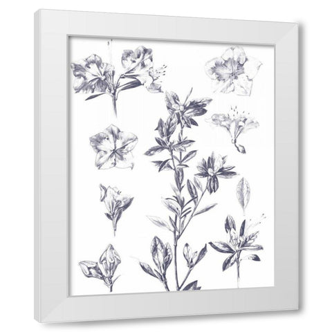 Lithograph Florals I Blue White Modern Wood Framed Art Print by Wild Apple Portfolio