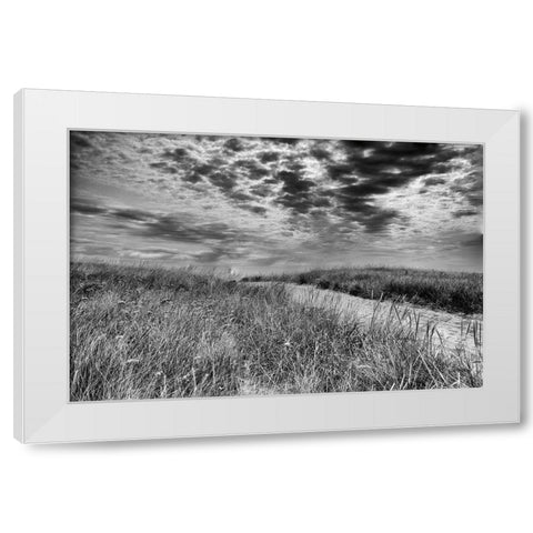 Nantucket Dunes White Modern Wood Framed Art Print by Aledanda