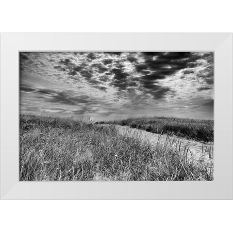 Nantucket Dunes White Modern Wood Framed Art Print by Aledanda