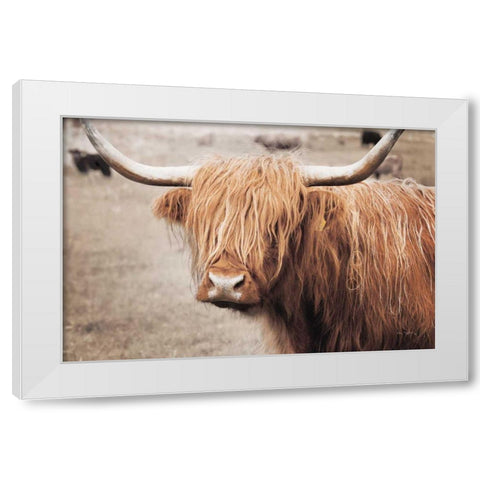 Scottish Highland Cattle I Neutral White Modern Wood Framed Art Print by Majchrowicz, Alan