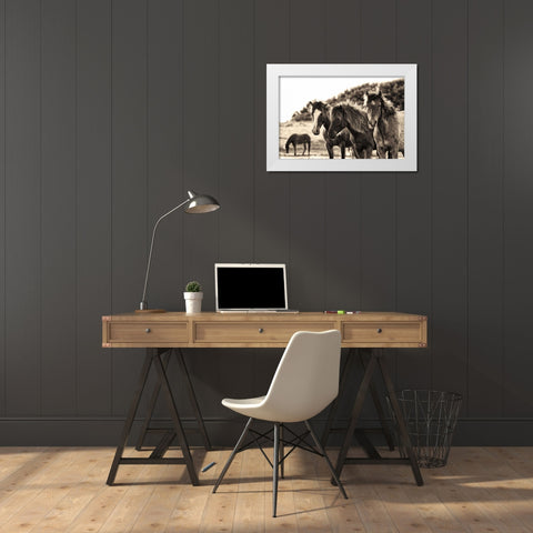 Horses Three Sepia White Modern Wood Framed Art Print by Aledanda