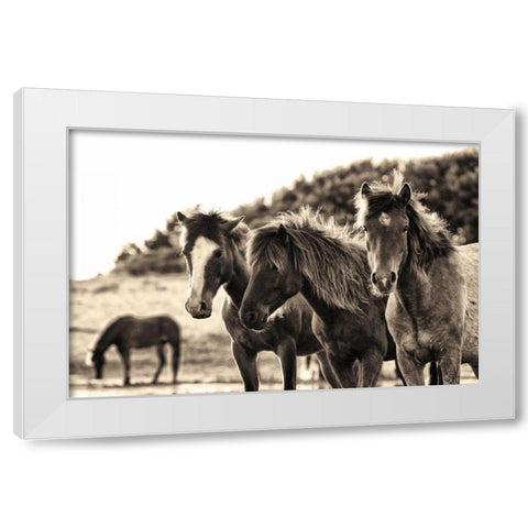 Horses Three Sepia White Modern Wood Framed Art Print by Aledanda