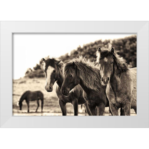 Horses Three Sepia White Modern Wood Framed Art Print by Aledanda