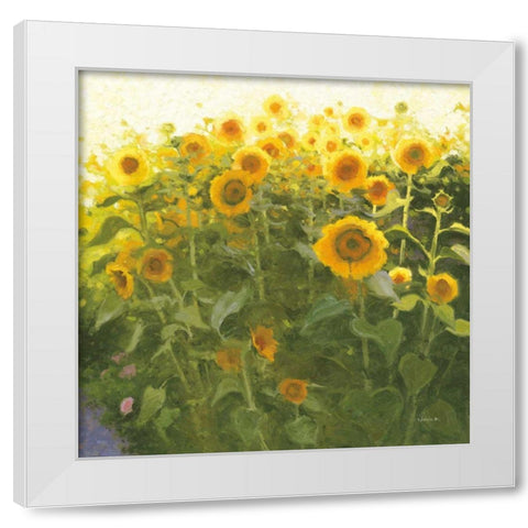 Sunflower Field White Modern Wood Framed Art Print by Novak, Shirley