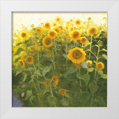 Sunflower Field White Modern Wood Framed Art Print by Novak, Shirley