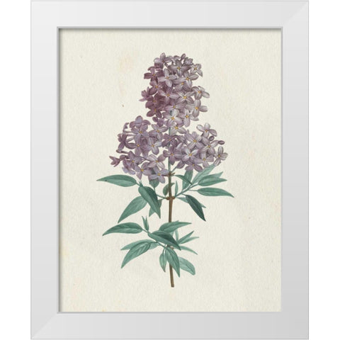 Victorian Garden Flowers III White Modern Wood Framed Art Print by Wild Apple Portfolio