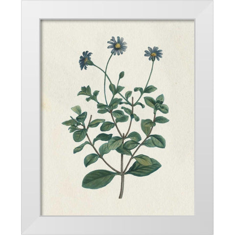 Victorian Garden Flowers IV White Modern Wood Framed Art Print by Wild Apple Portfolio