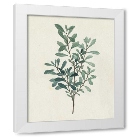 Victorian Garden Greenery I White Modern Wood Framed Art Print by Wild Apple Portfolio