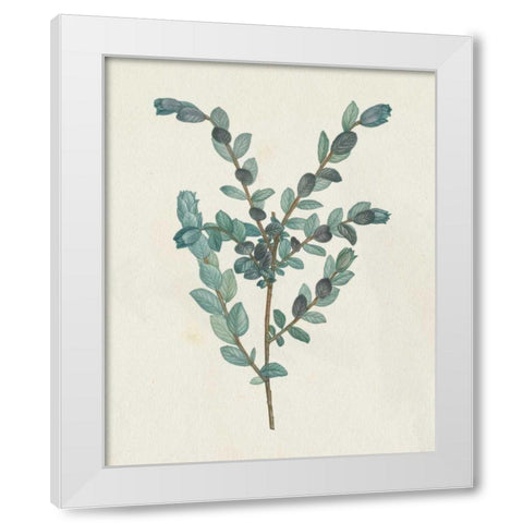 Victorian Garden Greenery II White Modern Wood Framed Art Print by Wild Apple Portfolio