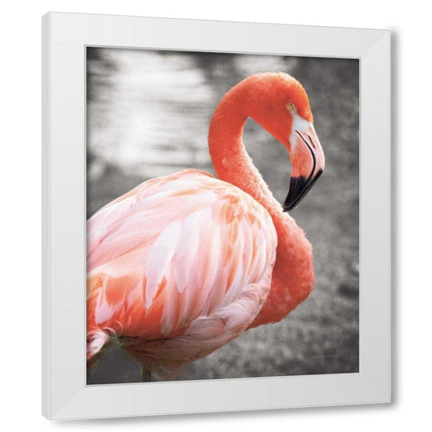 Flamingo I on BW White Modern Wood Framed Art Print by Van Swearingen, Debra