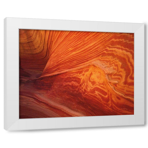 Coyote Buttes II White Modern Wood Framed Art Print by Majchrowicz, Alan