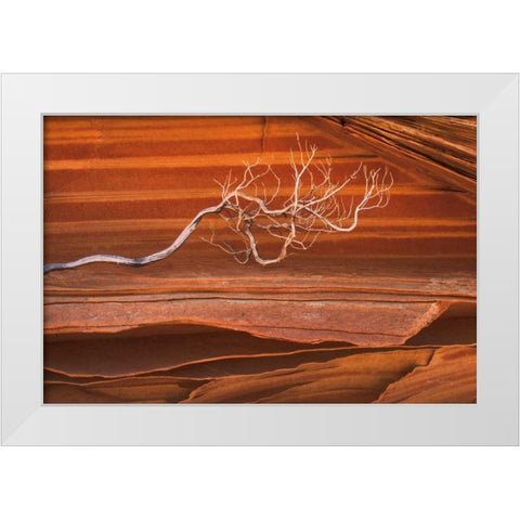 Coyote Buttes III White Modern Wood Framed Art Print by Majchrowicz, Alan