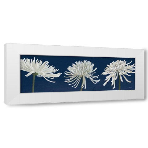 Morning Chrysanthemums V Dark Blue White Modern Wood Framed Art Print by Lovell, Kathrine