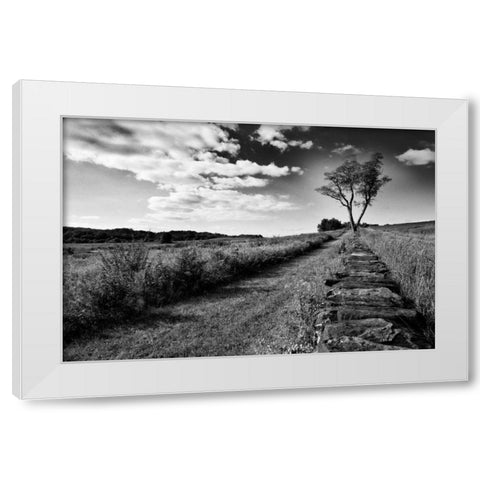 Stone Wall White Modern Wood Framed Art Print by Aledanda