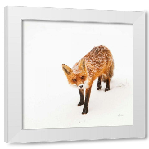 Red Fox II White Modern Wood Framed Art Print by Aledanda