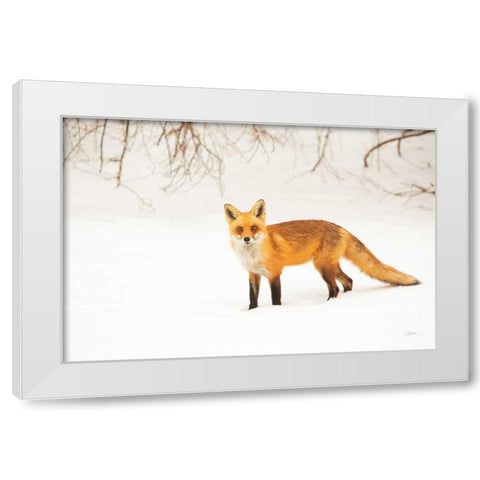 Red Fox IV White Modern Wood Framed Art Print by Aledanda