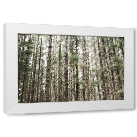 Mossy Pines White Modern Wood Framed Art Print by Marshall, Laura