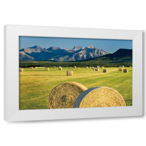 Waterton Hay Bales White Modern Wood Framed Art Print by Majchrowicz, Alan