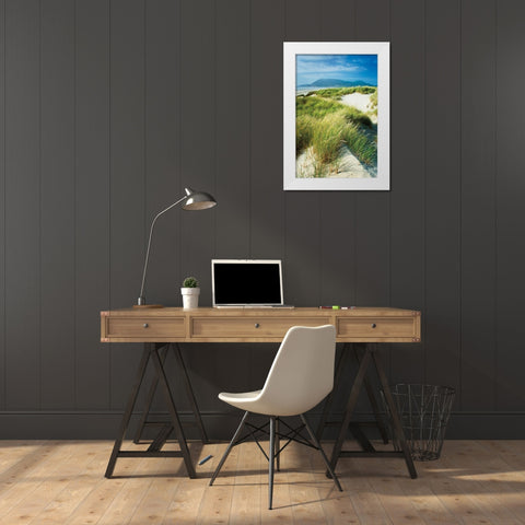 Oregon Dunes Grass White Modern Wood Framed Art Print by Majchrowicz, Alan