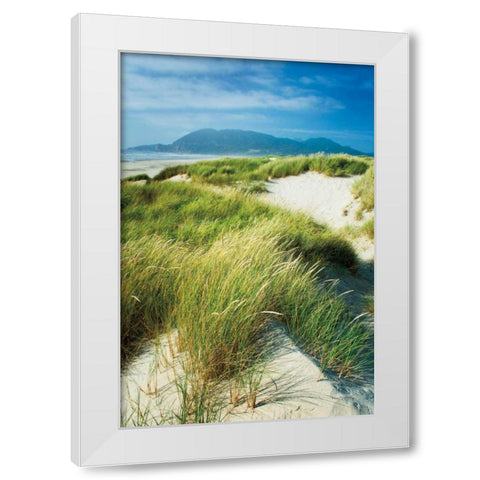 Oregon Dunes Grass White Modern Wood Framed Art Print by Majchrowicz, Alan