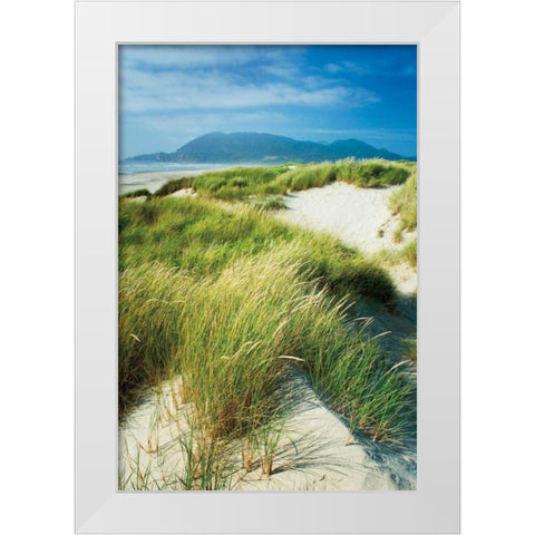 Oregon Dunes Grass White Modern Wood Framed Art Print by Majchrowicz, Alan