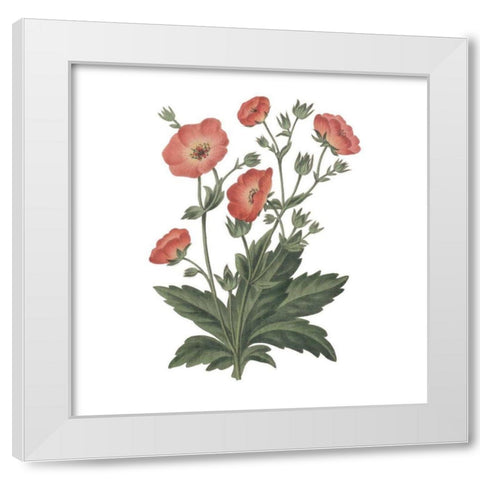 Monument Etching Tile Flowers V White Modern Wood Framed Art Print by Wild Apple Portfolio