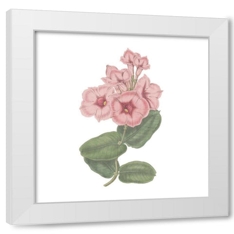 Monument Etching Tile Flowers VI White Modern Wood Framed Art Print by Wild Apple Portfolio