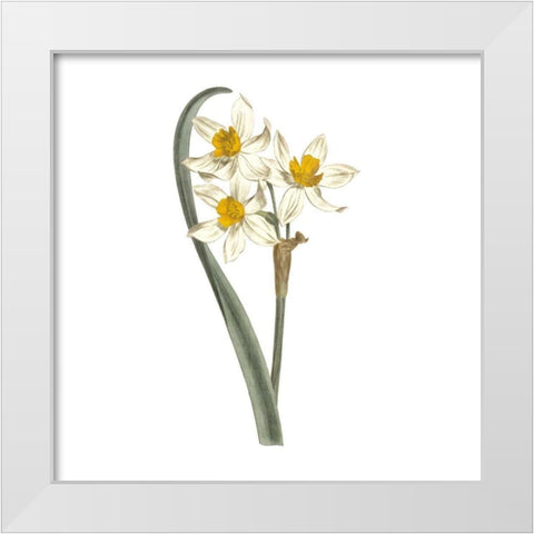 Monument Etching Tile Flowers VIII White Modern Wood Framed Art Print by Wild Apple Portfolio