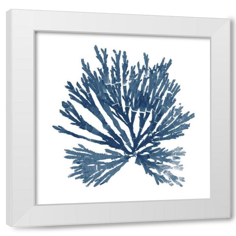Pacific Sea Mosses Blue on White II White Modern Wood Framed Art Print by Wild Apple Portfolio