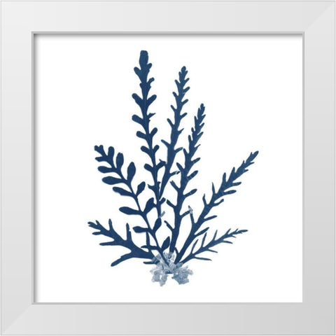 Pacific Sea Mosses Blue on White III White Modern Wood Framed Art Print by Wild Apple Portfolio