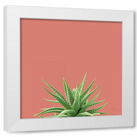 Succulent Simplicity I Coral White Modern Wood Framed Art Print by Bradley, Felicity