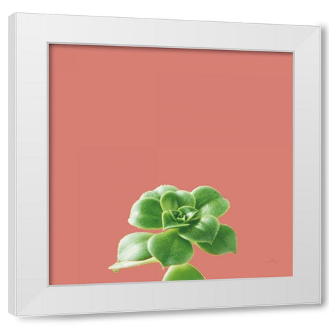 Succulent Simplicity VII Coral White Modern Wood Framed Art Print by Bradley, Felicity