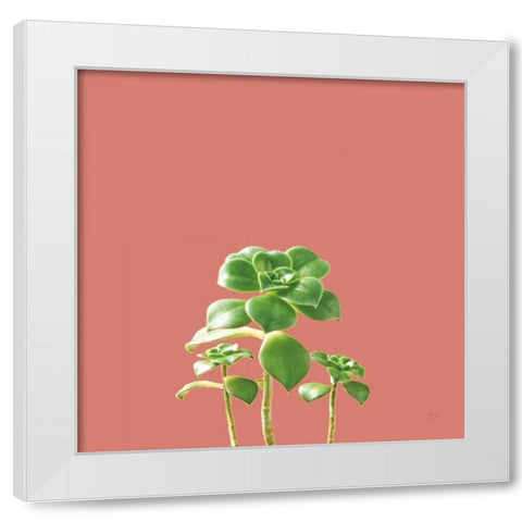 Succulent Simplicity IX Coral White Modern Wood Framed Art Print by Bradley, Felicity