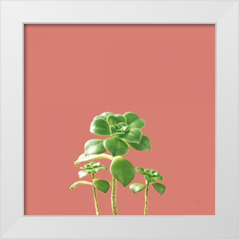 Succulent Simplicity IX Coral White Modern Wood Framed Art Print by Bradley, Felicity