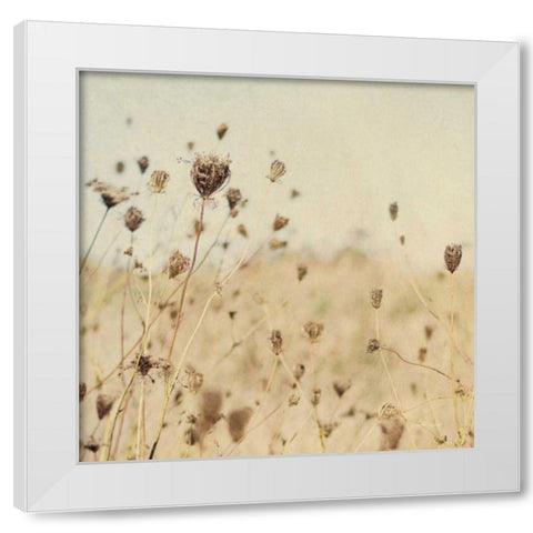 Falling Queen Annes Lace II Crop Sepia White Modern Wood Framed Art Print by Urquhart, Elizabeth