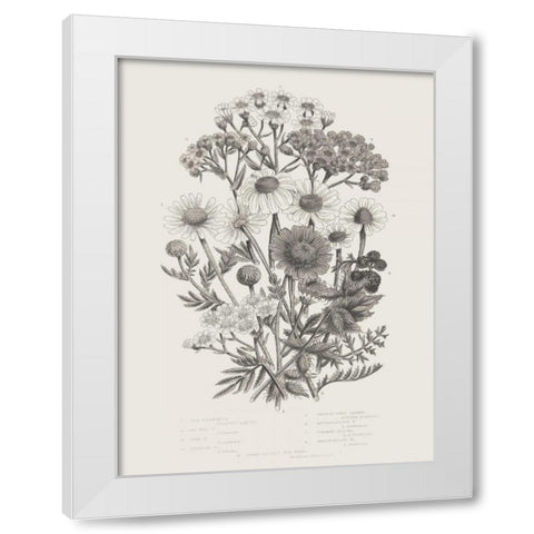 Flowering Plants V Neutral White Modern Wood Framed Art Print by Wild Apple Portfolio