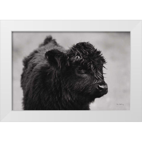 Scottish Highland Cattle XI BW White Modern Wood Framed Art Print by Majchrowicz, Alan