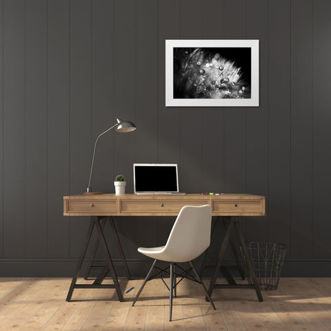Dandelion Abstract I White Modern Wood Framed Art Print by Marshall, Laura
