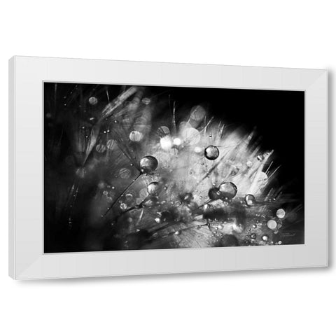 Dandelion Abstract I White Modern Wood Framed Art Print by Marshall, Laura