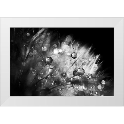 Dandelion Abstract I White Modern Wood Framed Art Print by Marshall, Laura