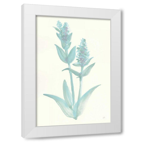 Lambs Ear Sage I White Modern Wood Framed Art Print by Paschke, Chris