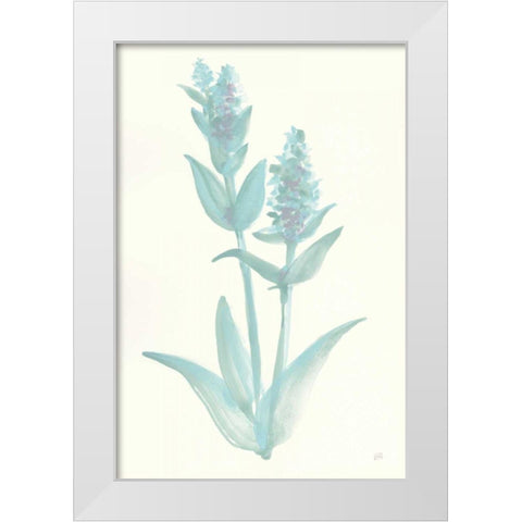 Lambs Ear Sage I White Modern Wood Framed Art Print by Paschke, Chris