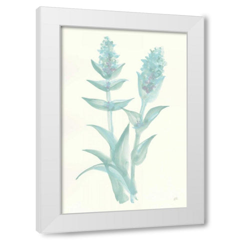 Lambs Ear Sage II White Modern Wood Framed Art Print by Paschke, Chris