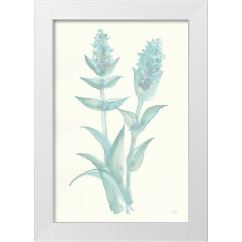 Lambs Ear Sage II White Modern Wood Framed Art Print by Paschke, Chris