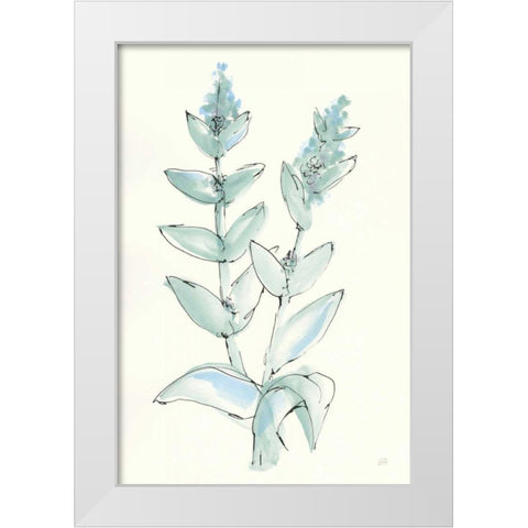 Lambs Ear Sage III White Modern Wood Framed Art Print by Paschke, Chris